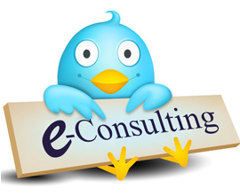 e-consulting, emarketing consultant in sri lanka